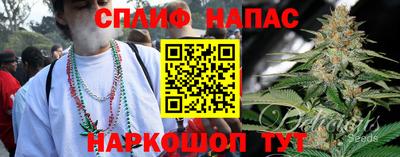 гашик Партизанск