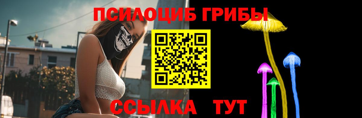Псилоцибиновые грибы Psilocybe Октябрьский
